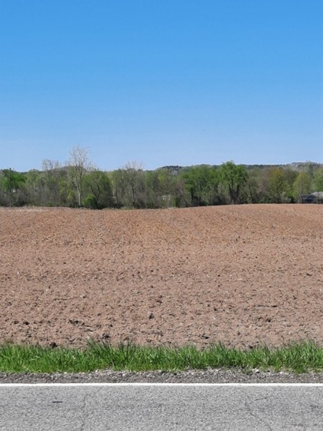 Newly planted corn into terminated cereal rye.jpg